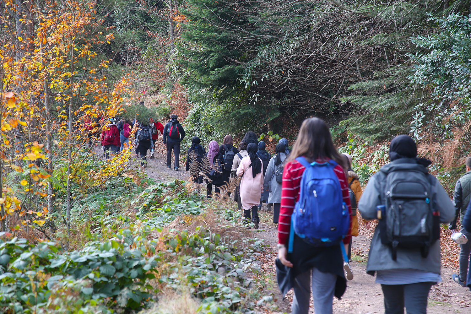 Sonbahar Doğa Yürüyüşleri sona erdi