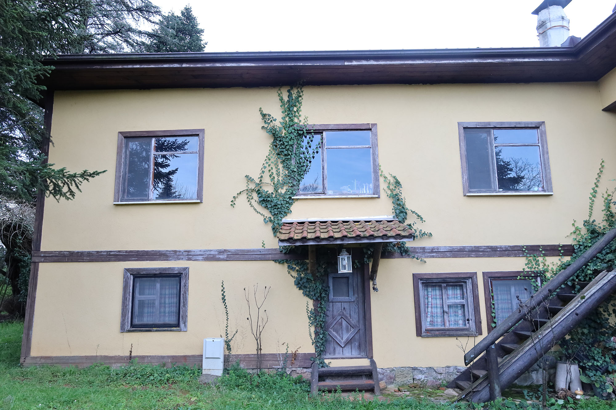 Evi görünce terk etmeyi düşündü: Binlerce kokarcanın istila kabusunu TUTSAK bitirdi