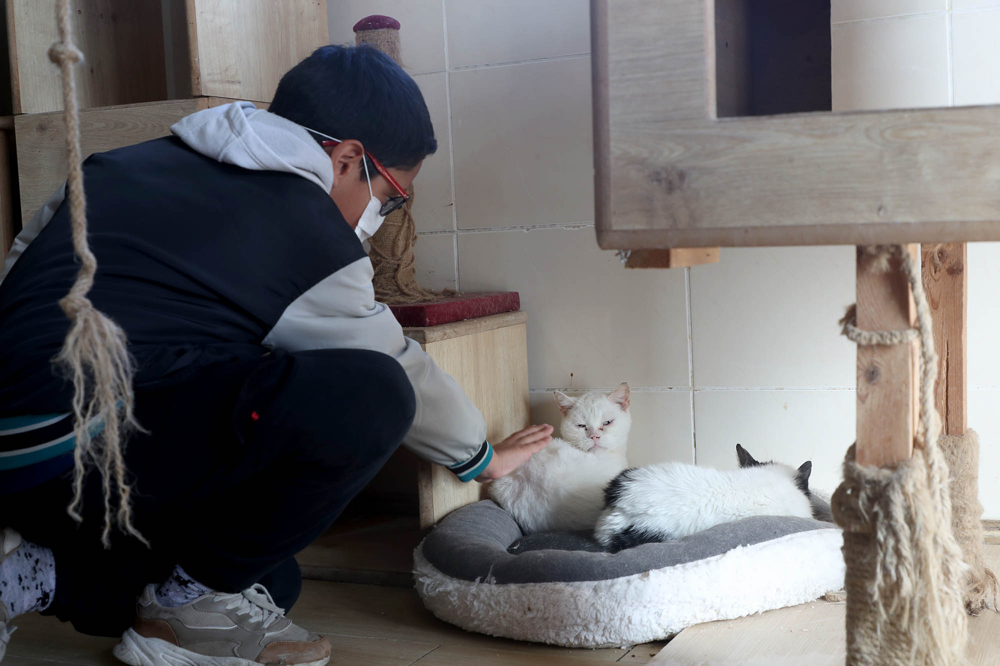 Büyükşehirle unutulmaz bir gün: Can dostların yaşam serüveni, bir yudum suyun önemi ve maceraya yolculuk