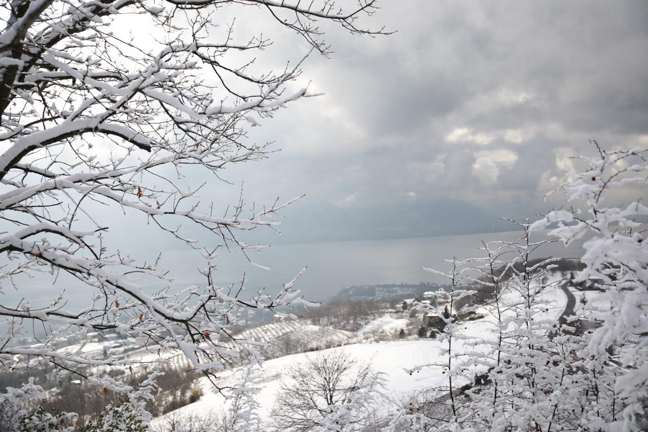 Sapanca Gölü’nde son 10 yılın rekoru kırıldı