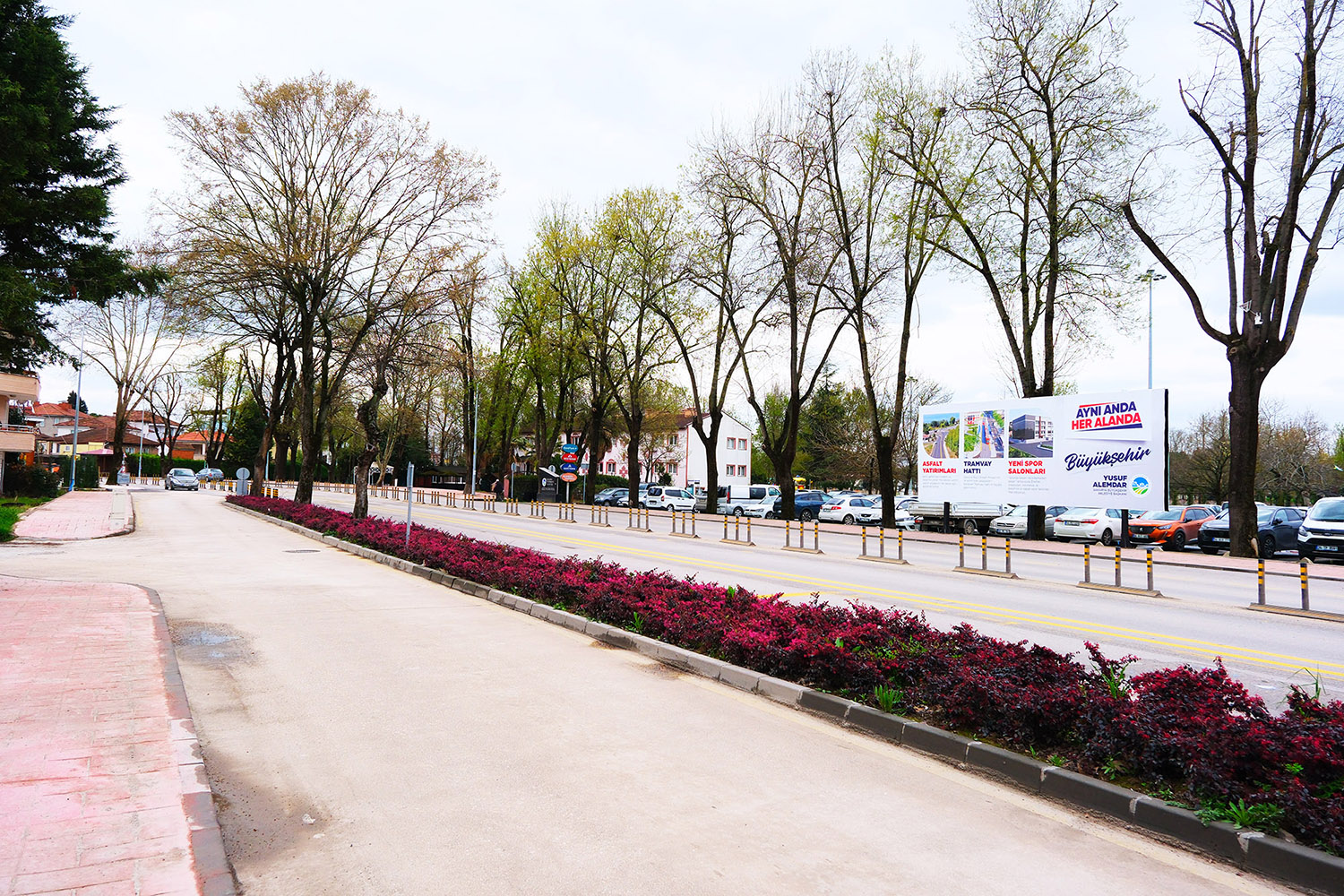 Sakarya’da baharın büyüleyici cümbüşü