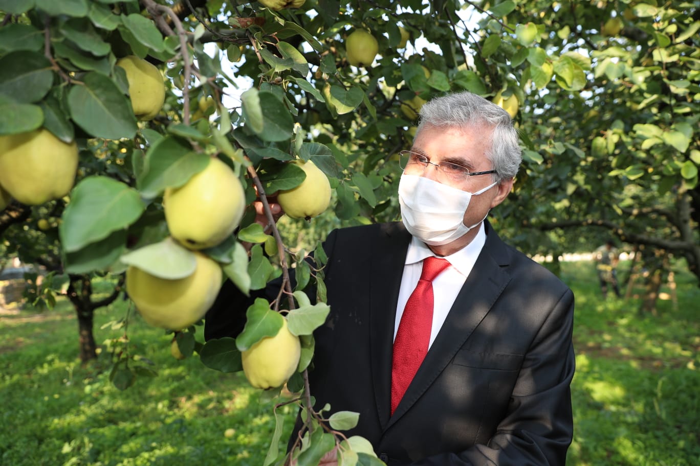 “Dünyanın ayvasını şehrimiz üretiyor”