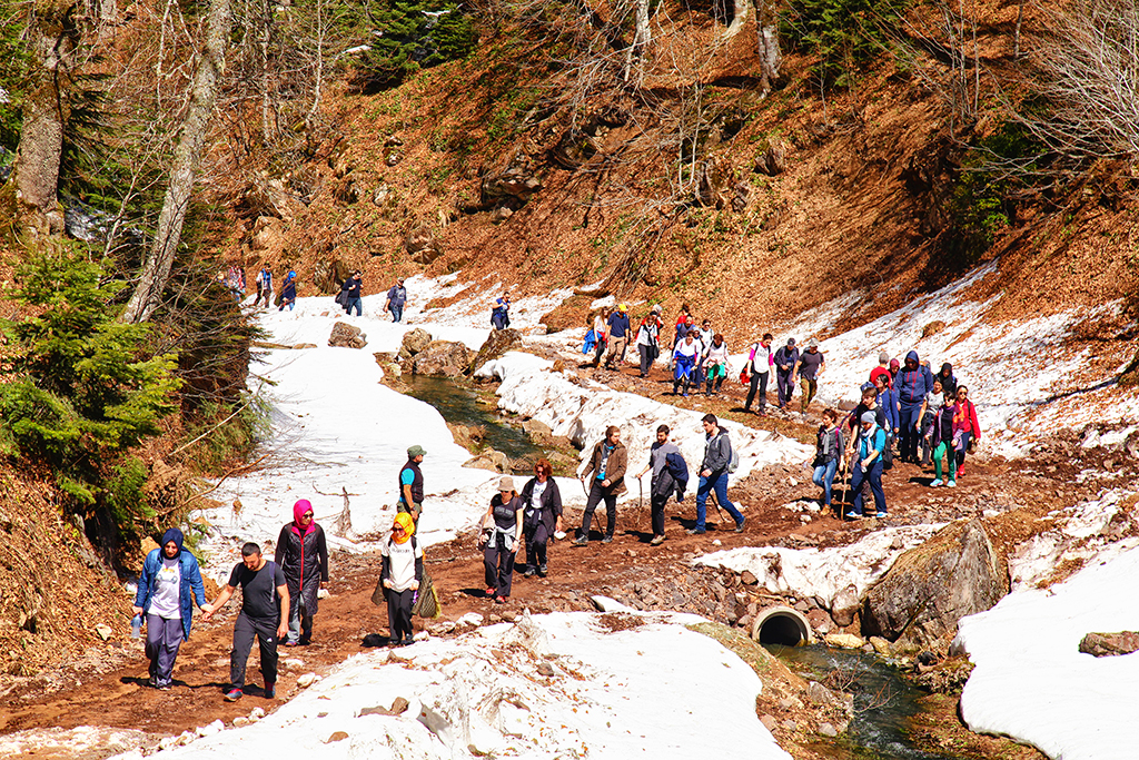 Doğaseverler Büyükyayla’daydı