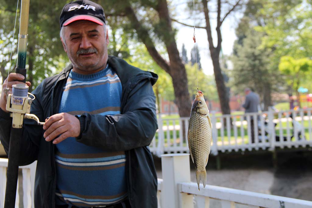 Doğal yaşamın güzelliği