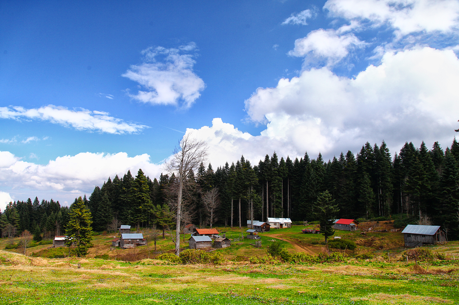 Doğa Yürüyüşleri Büyük Yayla’da başladı