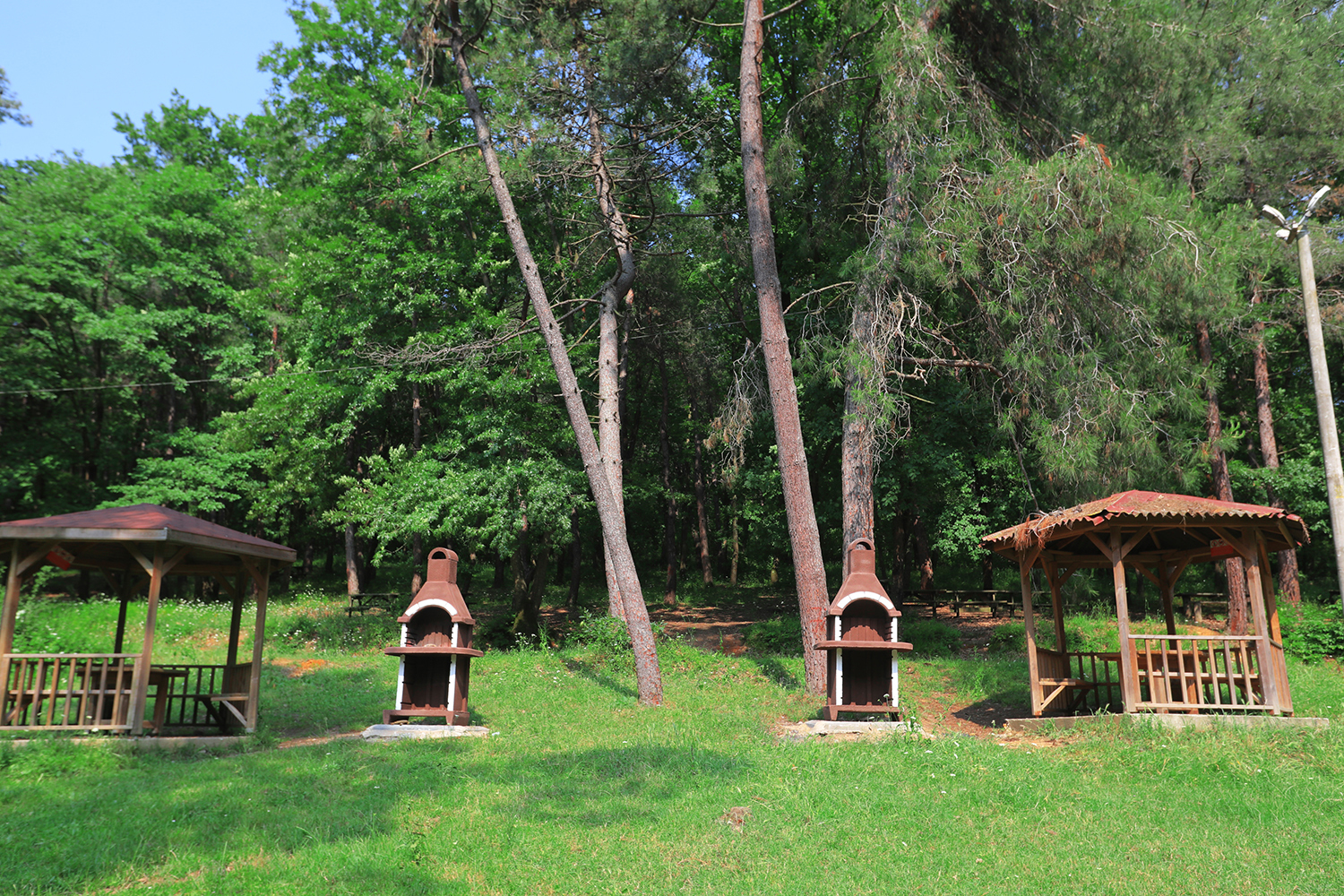 “İl Ormanı Tabiat Parkı ile vatandaşlar doğanın en güzel haliyle buluşacak”