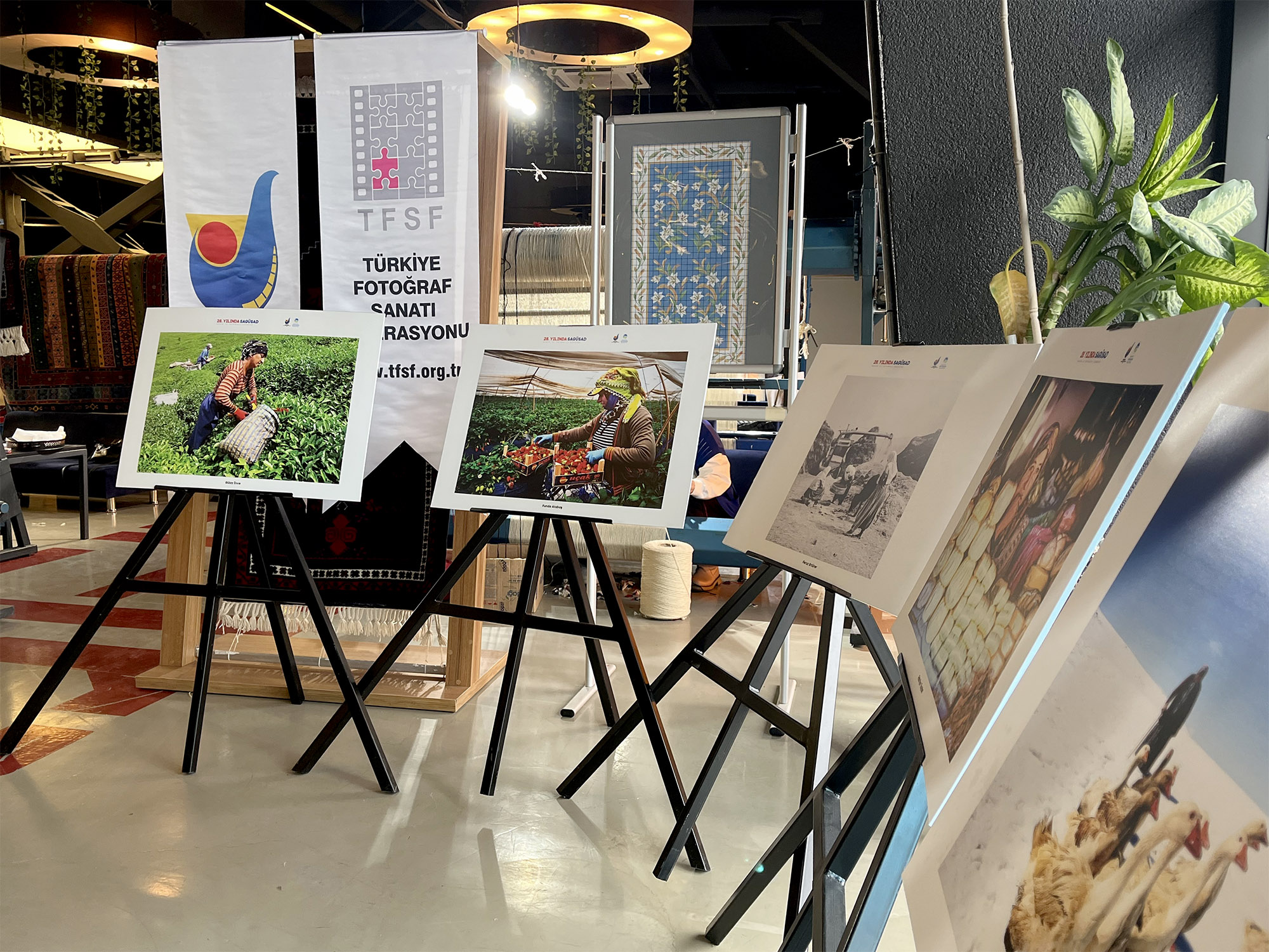 OSM’de görenleri Sakarya’nın geçmişine götüren sergi