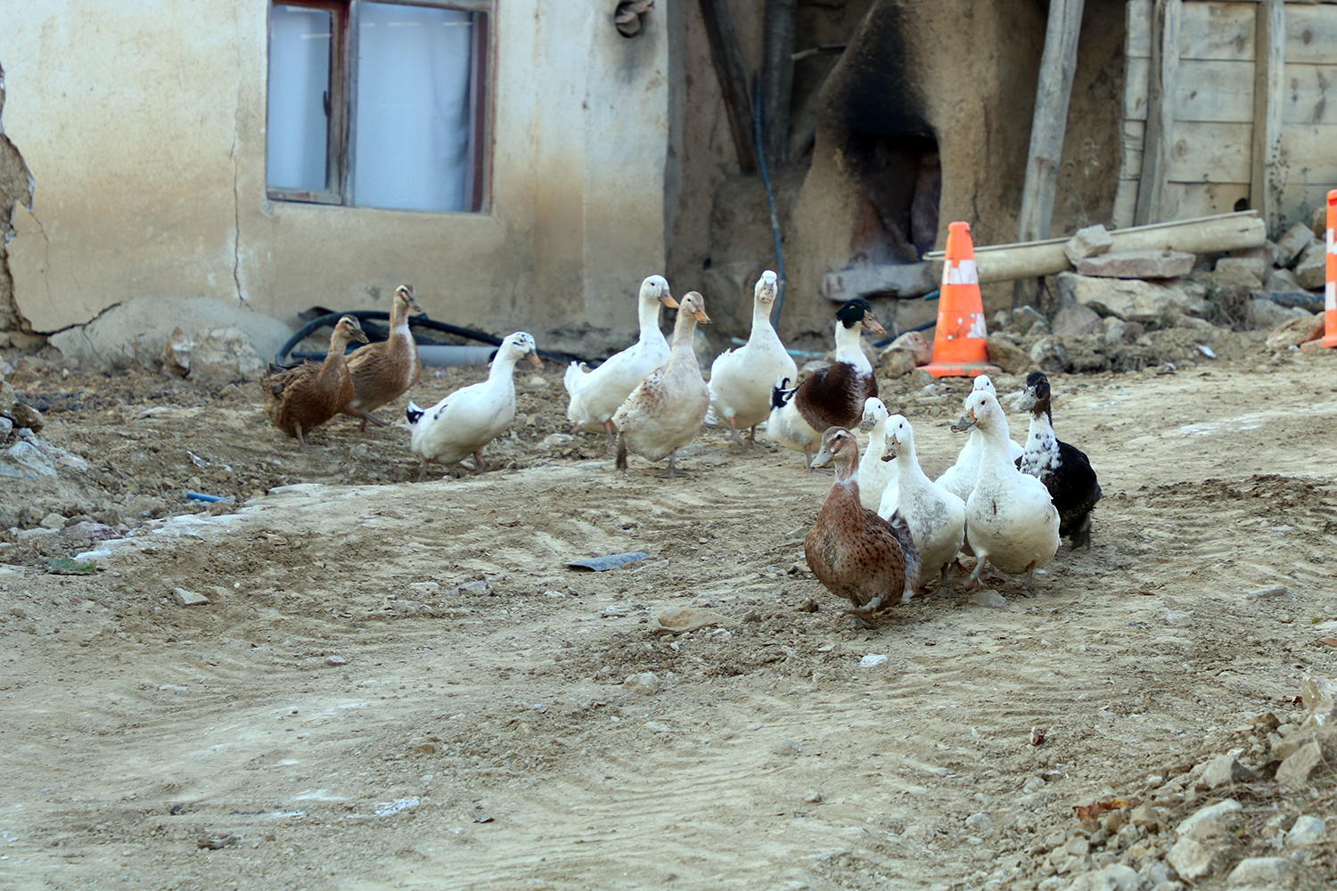 Geyve Yaylak’ta altyapı tamamen yenilendi