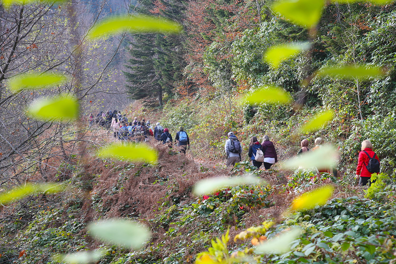 Sonbahar Doğa Yürüyüşleri sona erdi