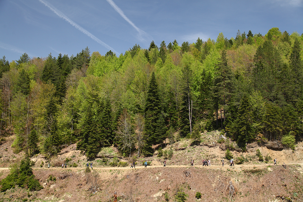 Pamukova ve Sapanca’da doğa ile iç içe yürüyüş