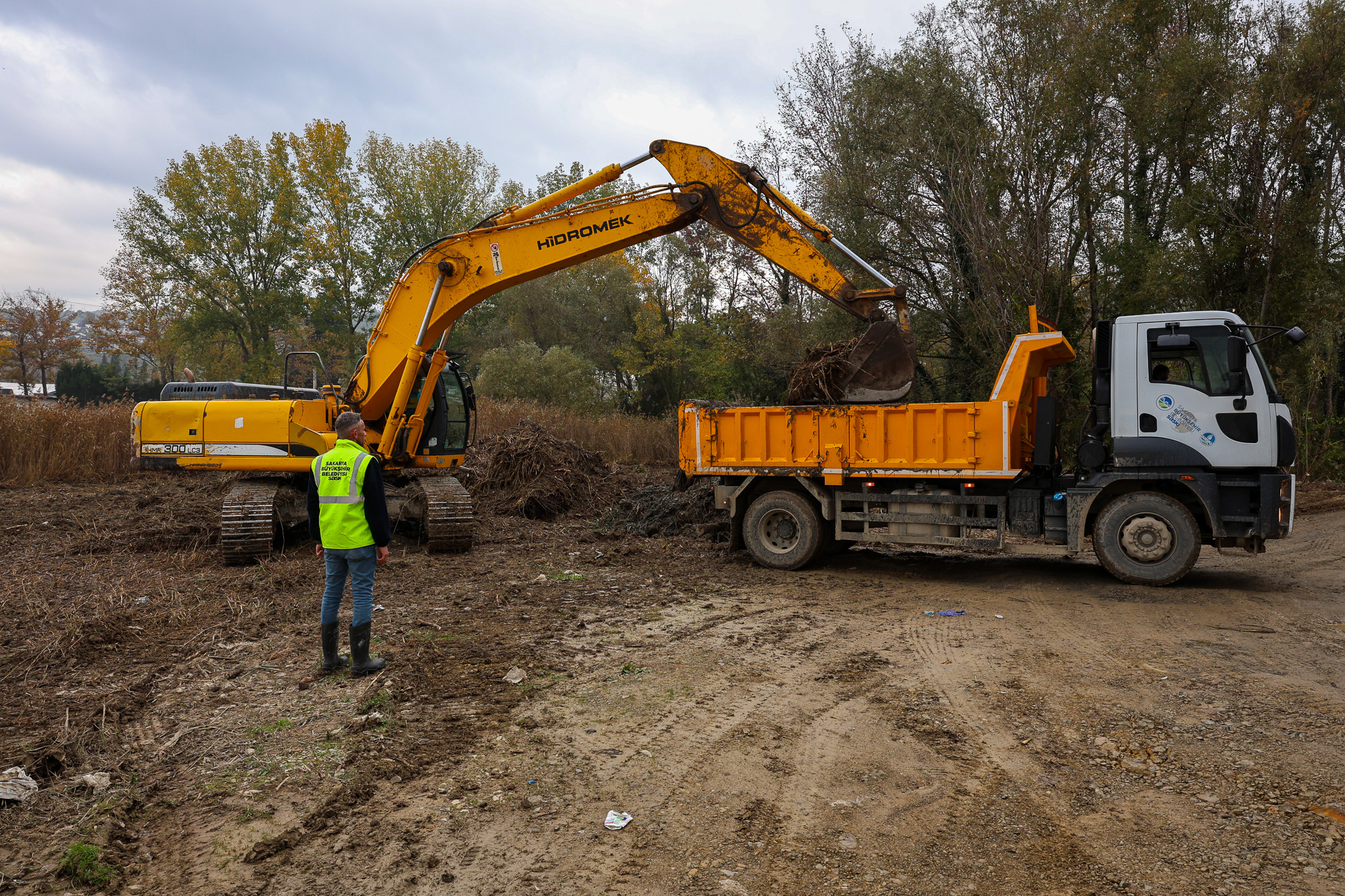 Sapanca Gölü kıyılarında ekosistemi koruyan temizlik çalışması sürüyor