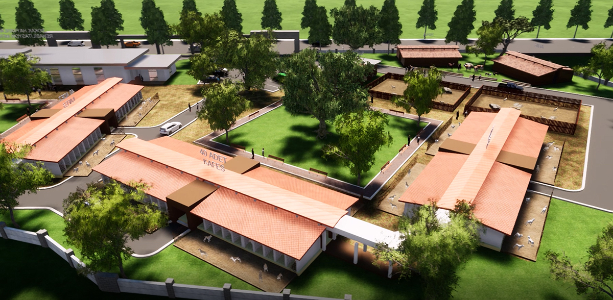 Sokak Hayvanları Rehabilitasyon Merkezi ihaleye çıkıyor