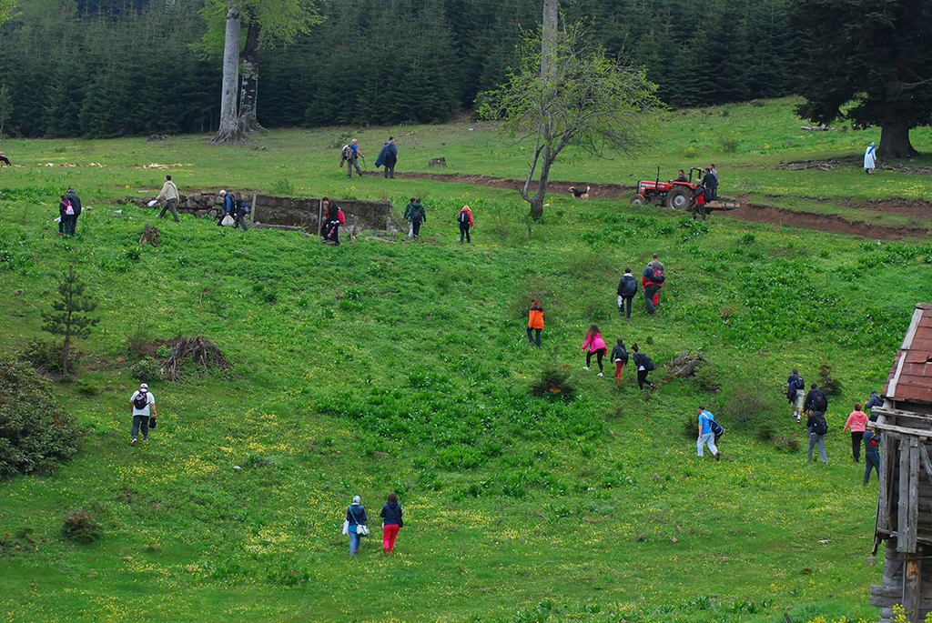 Büyük Yayla’da Yürüdüler