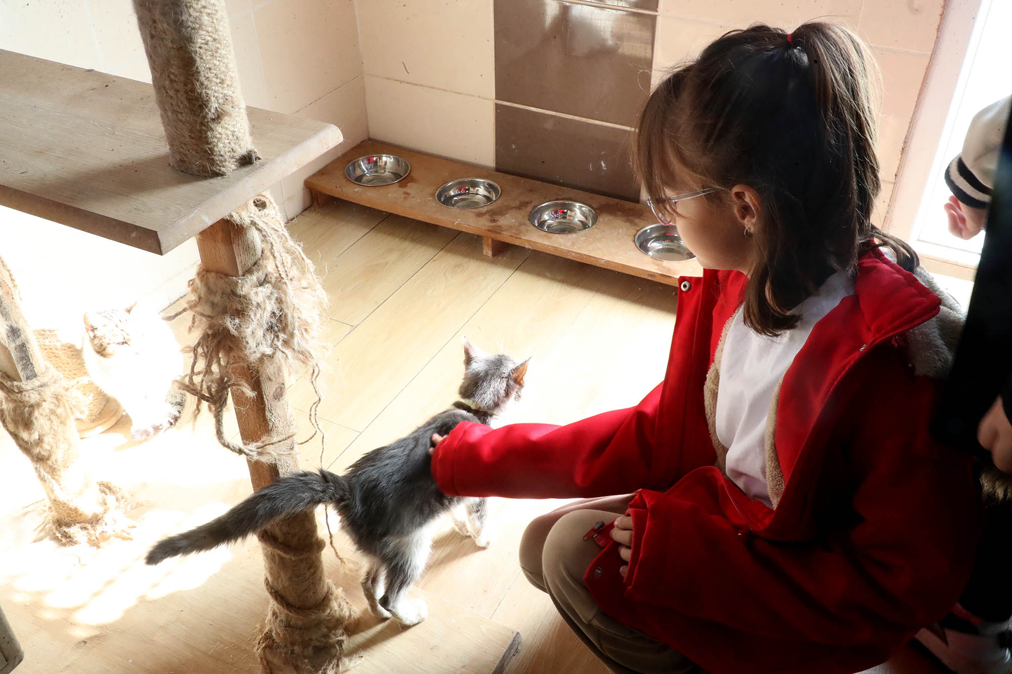 Büyükşehirle unutulmaz bir gün: Can dostların yaşam serüveni, bir yudum suyun önemi ve maceraya yolculuk