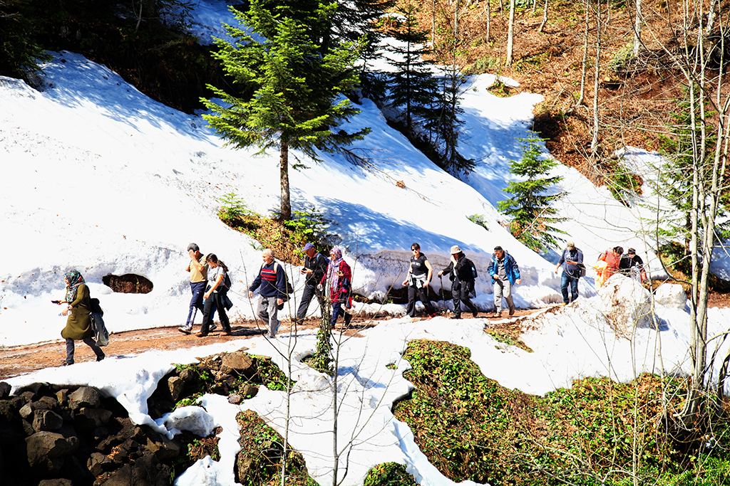 Doğaseverler Büyükyayla’daydı