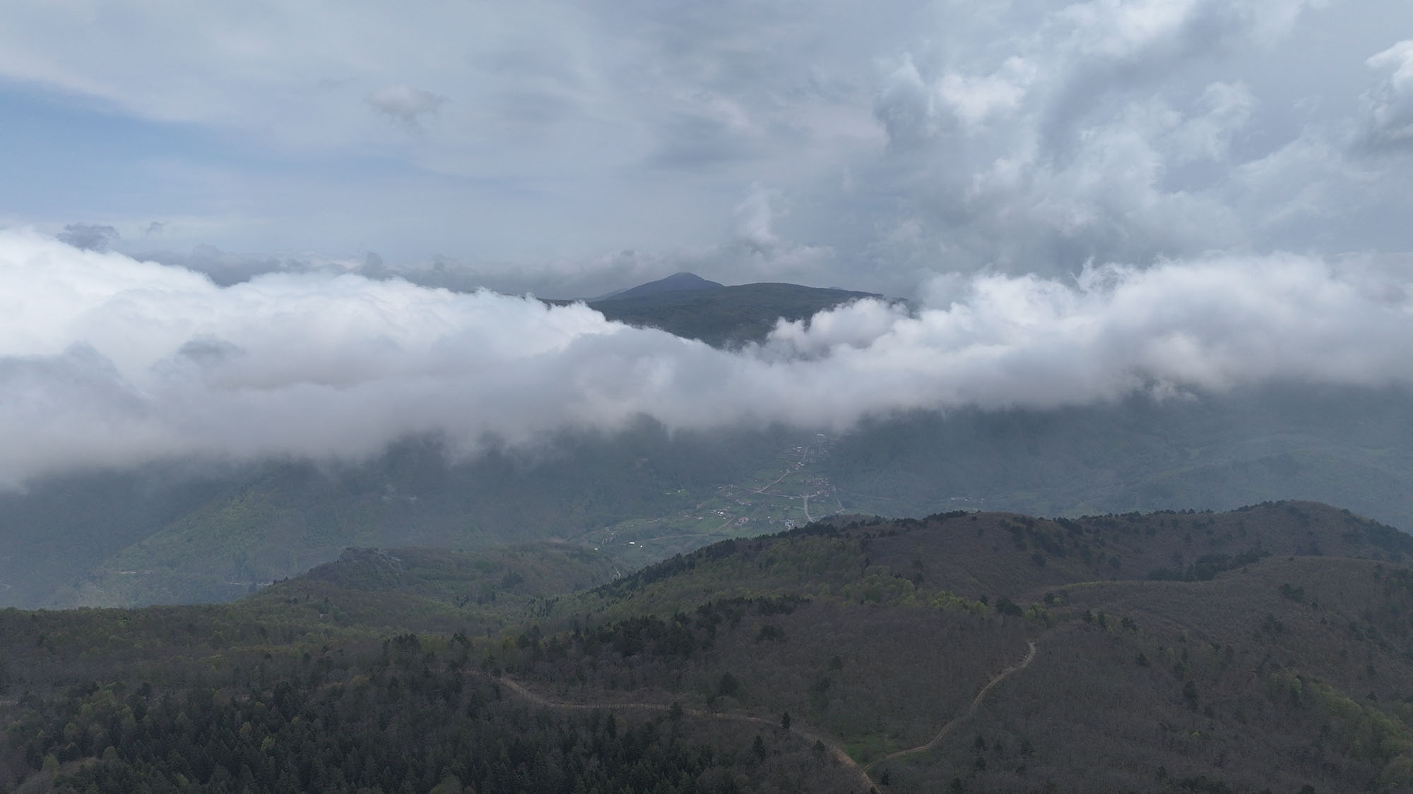 Doğada en güzel keşif yine Büyükşehirle başladı: Kıranyurt’ta baharın büyüleyici görüntüsü 
