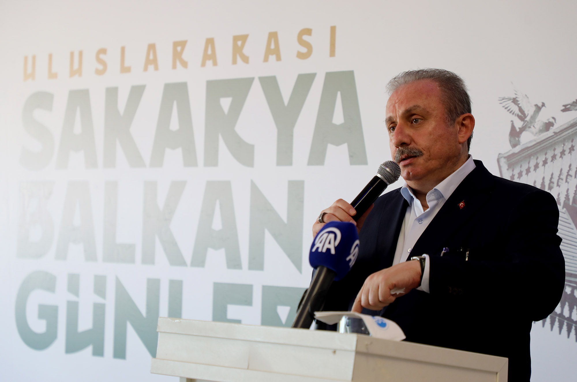  Sakarya Balkan coğrafyasına kucak açtı: “Sizin büyük ülkeniz Türkiye Cumhuriyeti’dir”