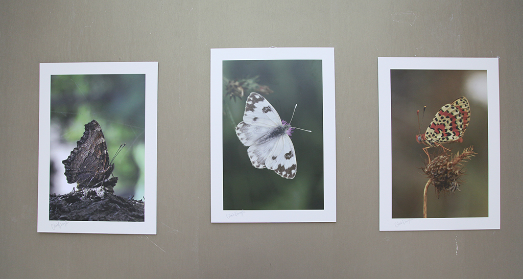 Uçan Renkler Galeri’de