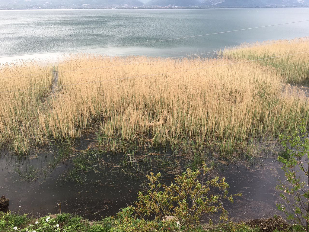 Daha Temiz Bir Kıyı Şeridi İçin