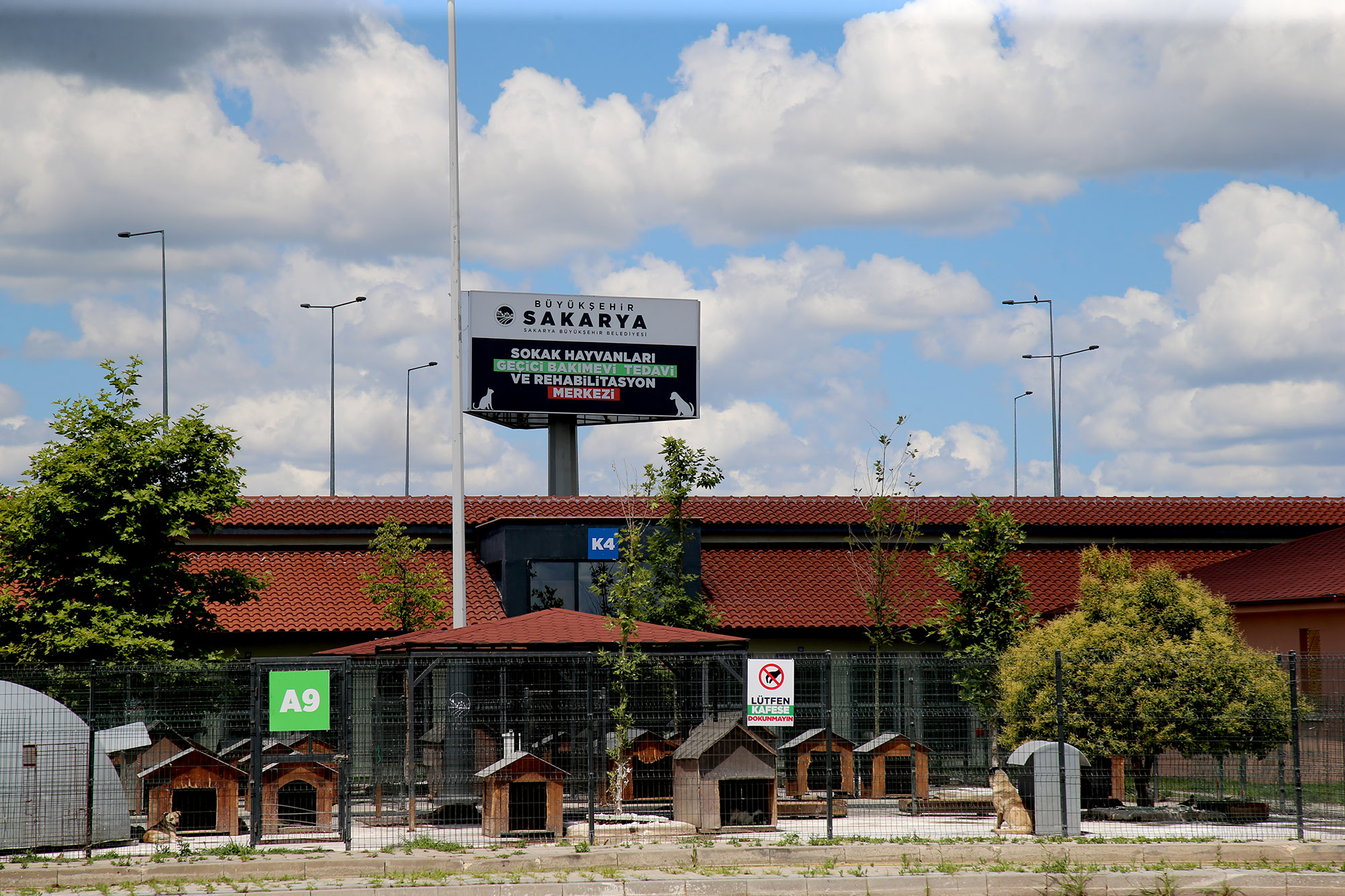 Can dostların Sakarya’da devasa bir şifa yuvası var