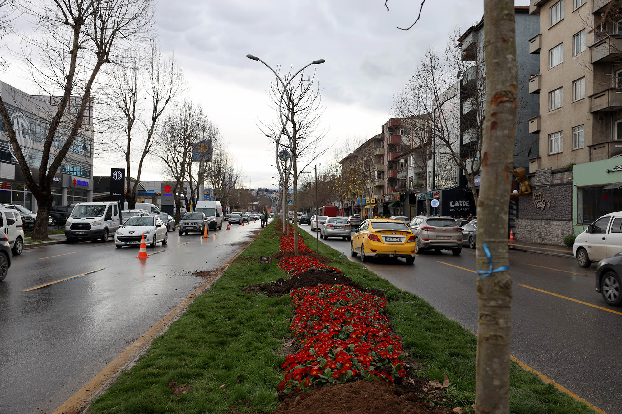 Büyükşehir’in ‘Yeşil Şehir’ vizyonu sahada: 3 ayda 2 bin 500 ağaç toprakla buluştu