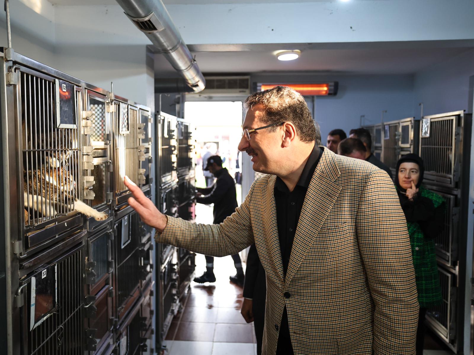 “Sokak Hayvanları Doğal Yaşam Kampüsü ile Sakarya’mız yine bir ilke imza attı”