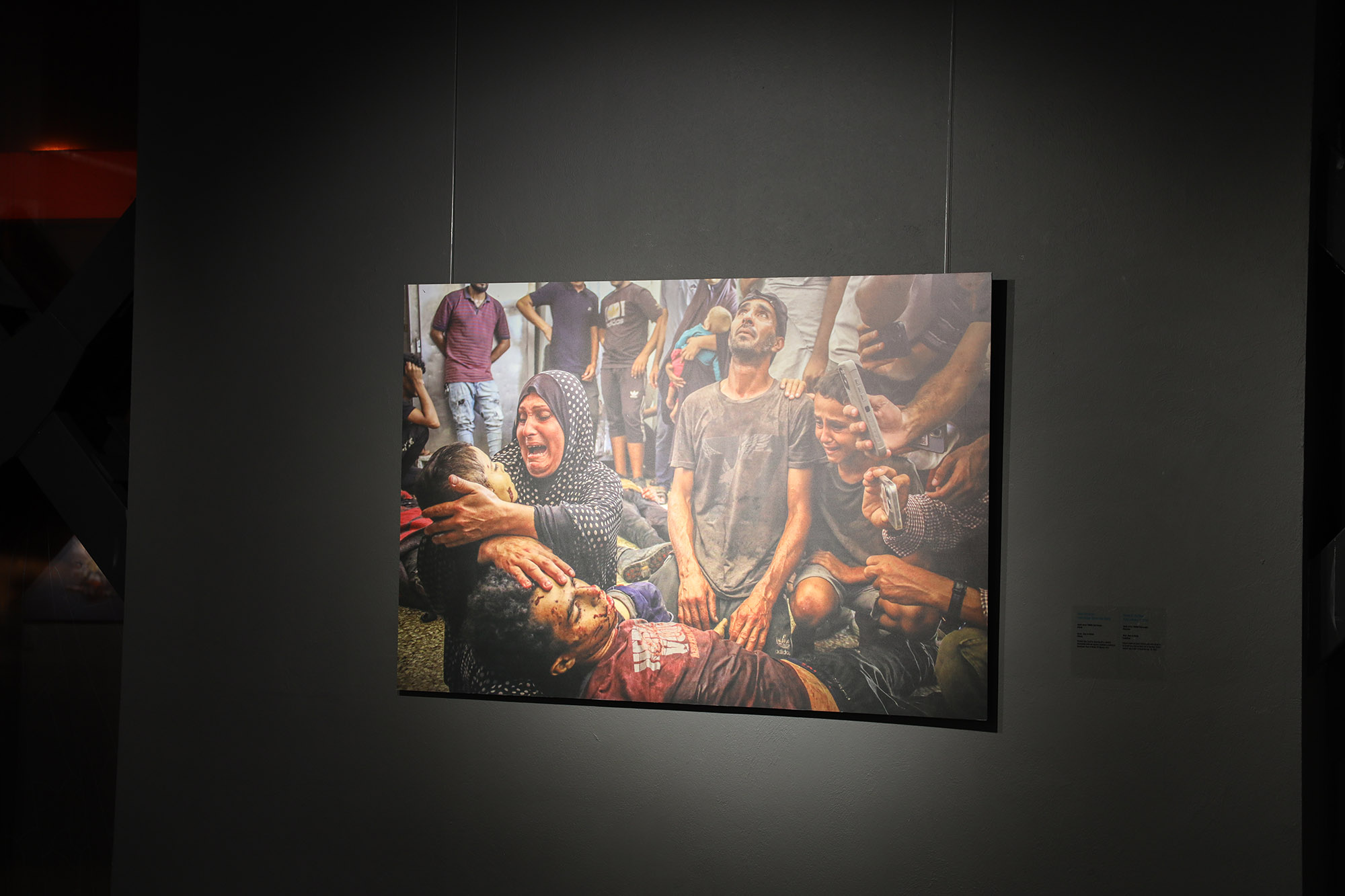 Dünyanın hafızası Sakarya’da buluştu