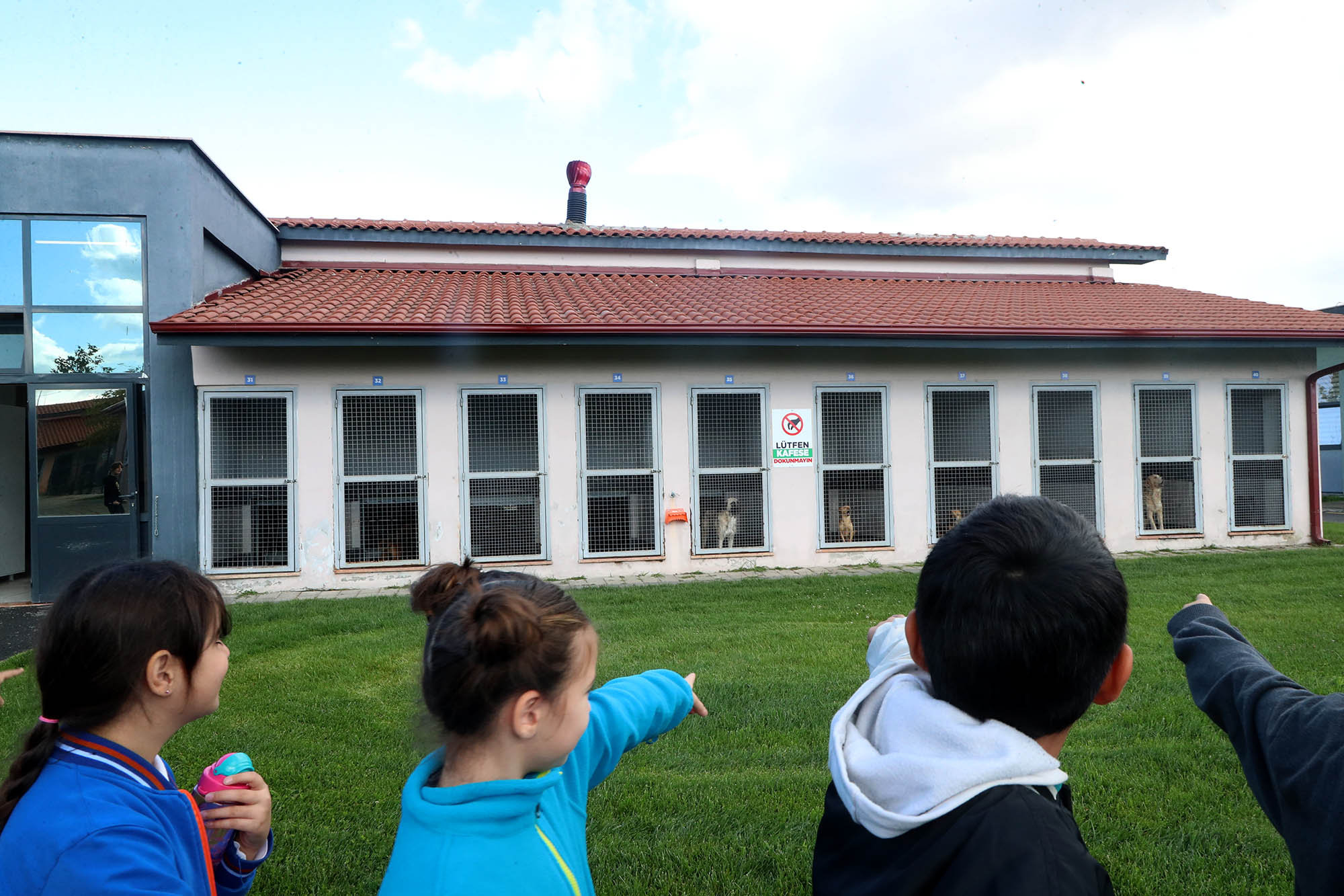 Büyükşehirle unutulmaz bir gün: Can dostların yaşam serüveni, bir yudum suyun önemi ve maceraya yolculuk