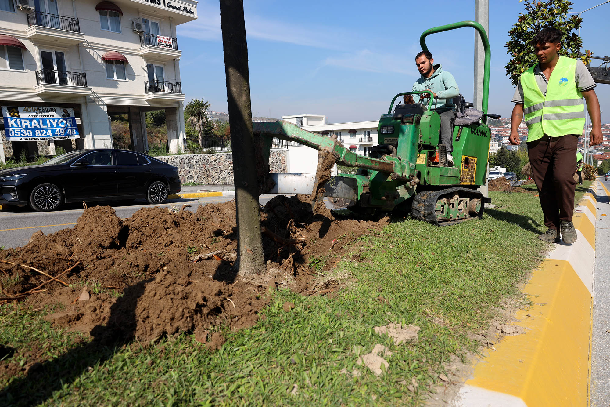 Raylı Sistem’de ilk kazma öncesi sahada hazırlık başladı: Ağaçlar titiz bir çalışmayla taşınıyor