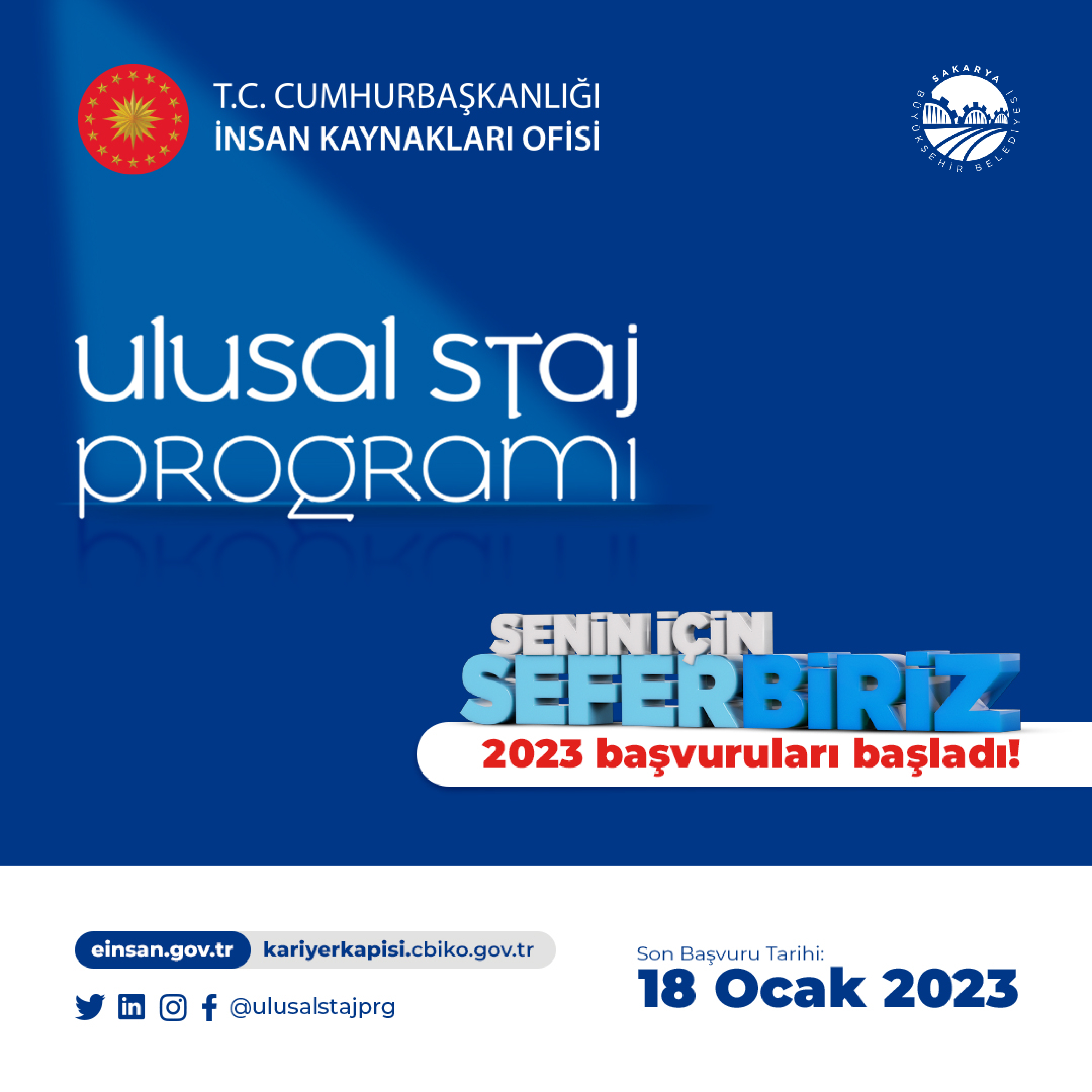 Ulusal Staj Programı