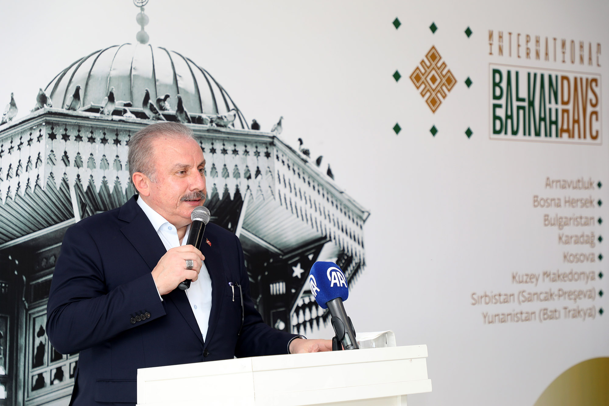  Sakarya Balkan coğrafyasına kucak açtı: “Sizin büyük ülkeniz Türkiye Cumhuriyeti’dir”