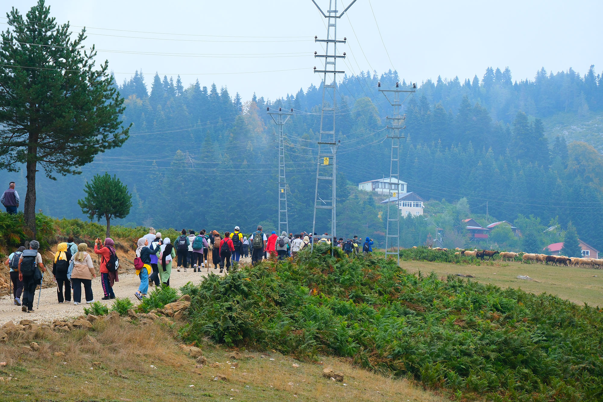 Doğaseverler bu kez Hendek’in yaylalarını adımladı