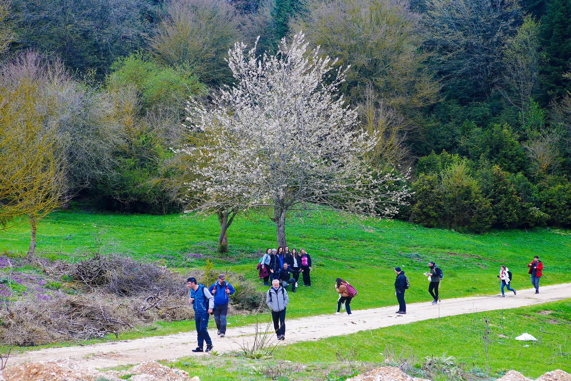 Doğa âşıkları baharı tabiatın kalbinde Büyükşehir’le karşıladı