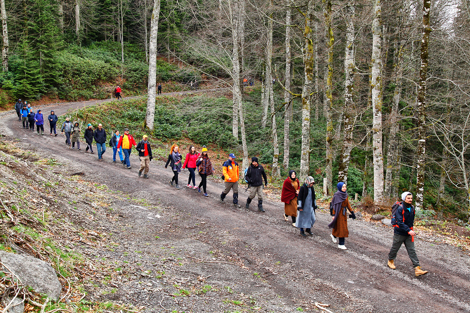 Doğa Yürüyüşleri Büyük Yayla’da başladı