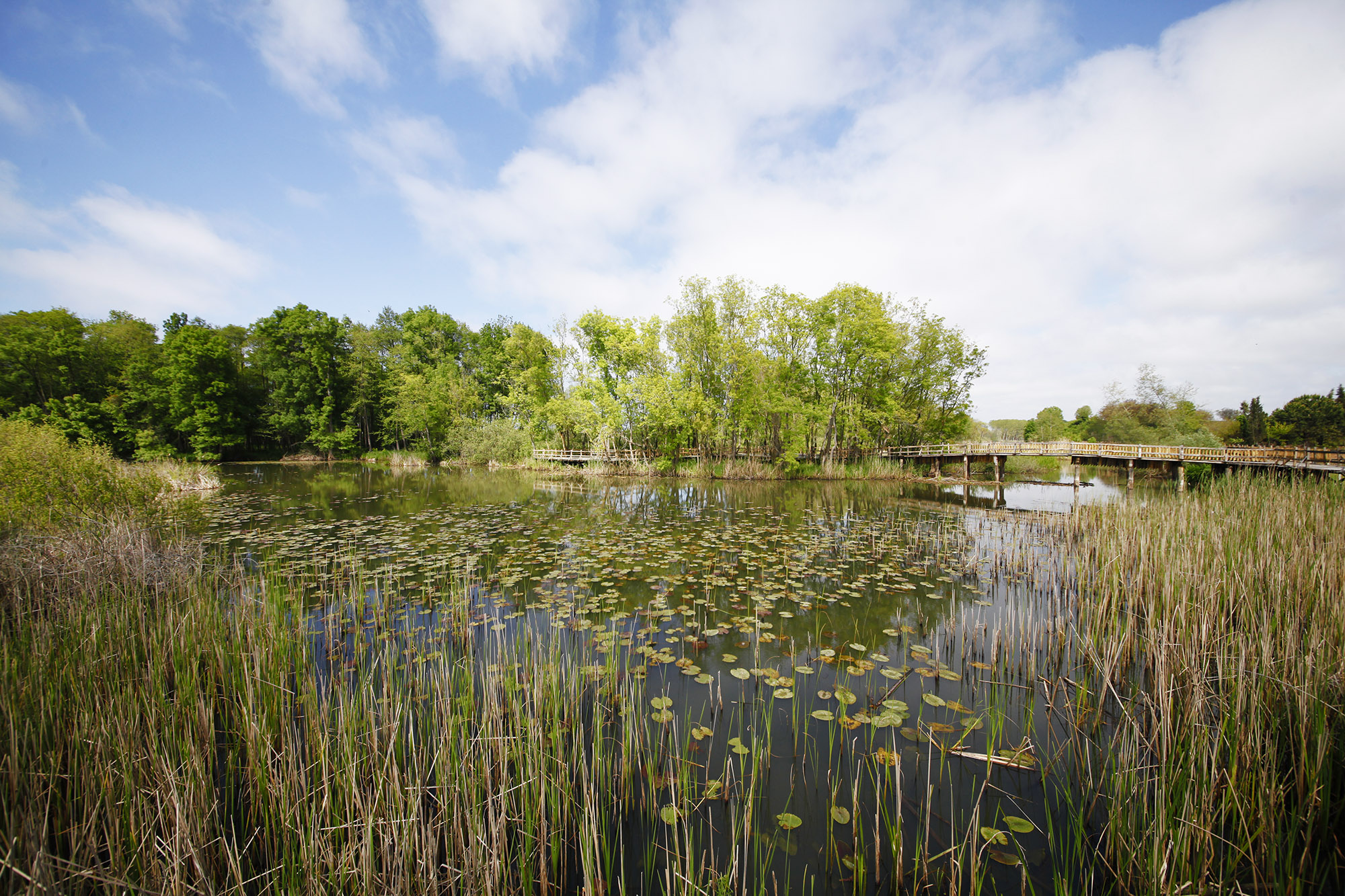 Doğanın kalbi Sakarya’da attı: İki yeşil noktaya 605 bin ziyaretçi