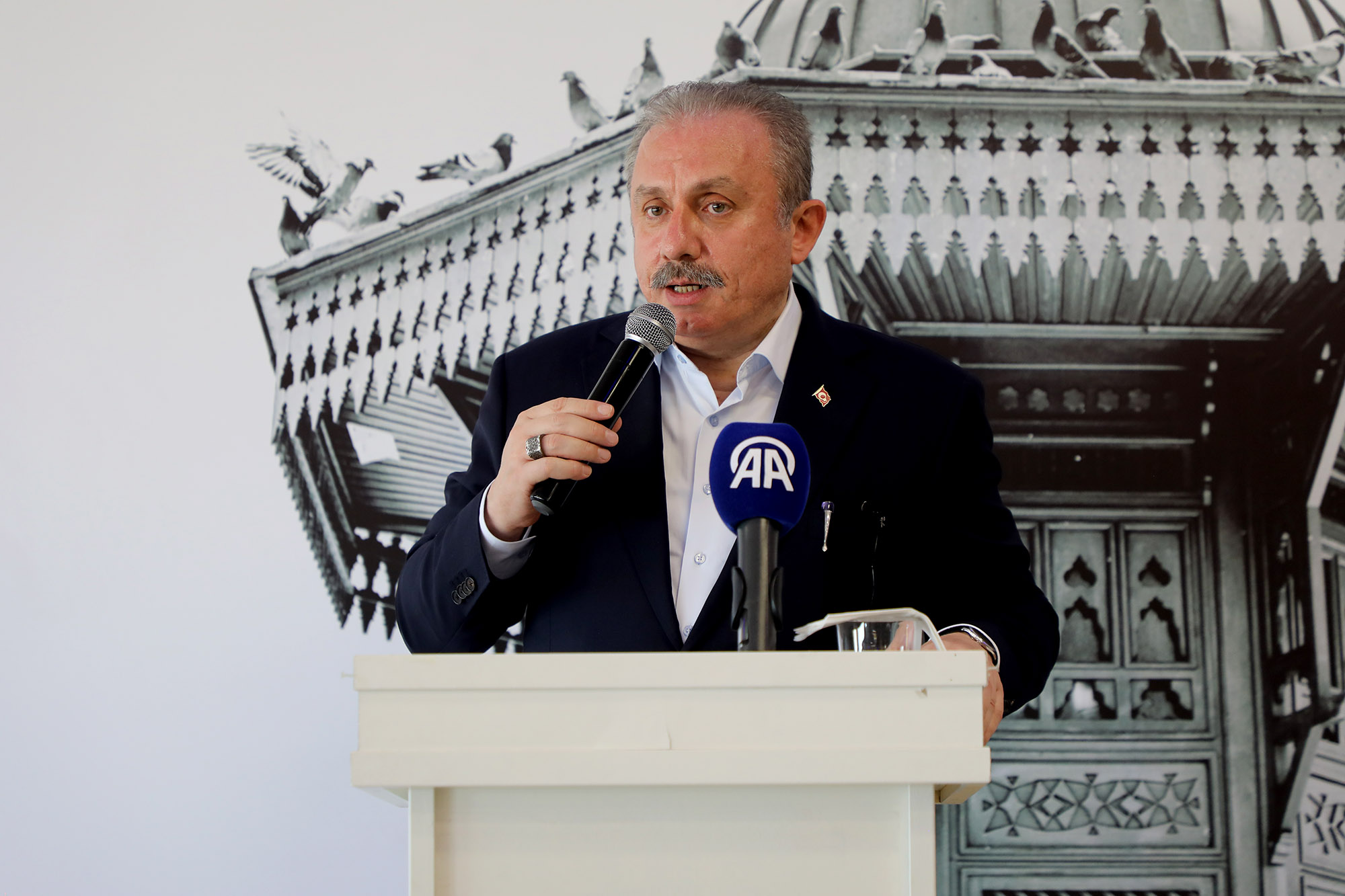  Sakarya Balkan coğrafyasına kucak açtı: “Sizin büyük ülkeniz Türkiye Cumhuriyeti’dir”