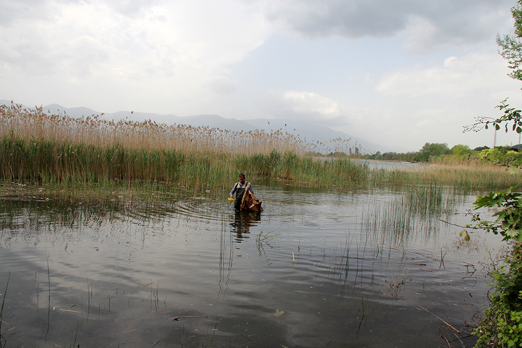 Daha Temiz Bir Kıyı Şeridi İçin