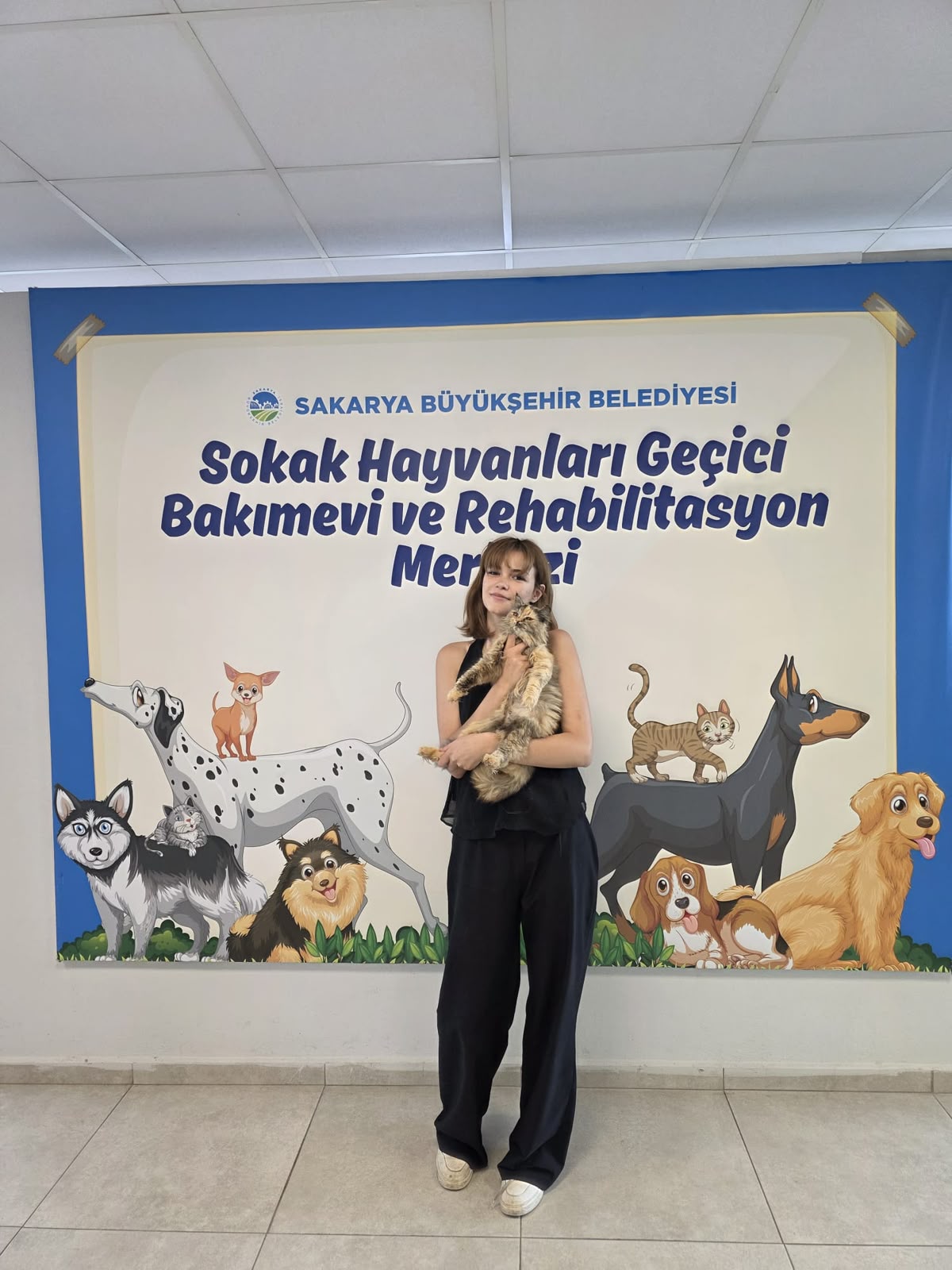 Pati İzi, 700’ü aşkın patili dostu yeni yuvasına kavuşturdu