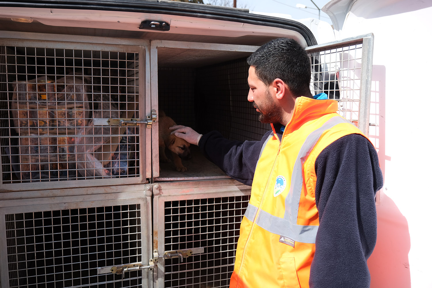 Büyükşehir veteriner ekibi Antakya’da can dostlarının yaralarını sarıyor