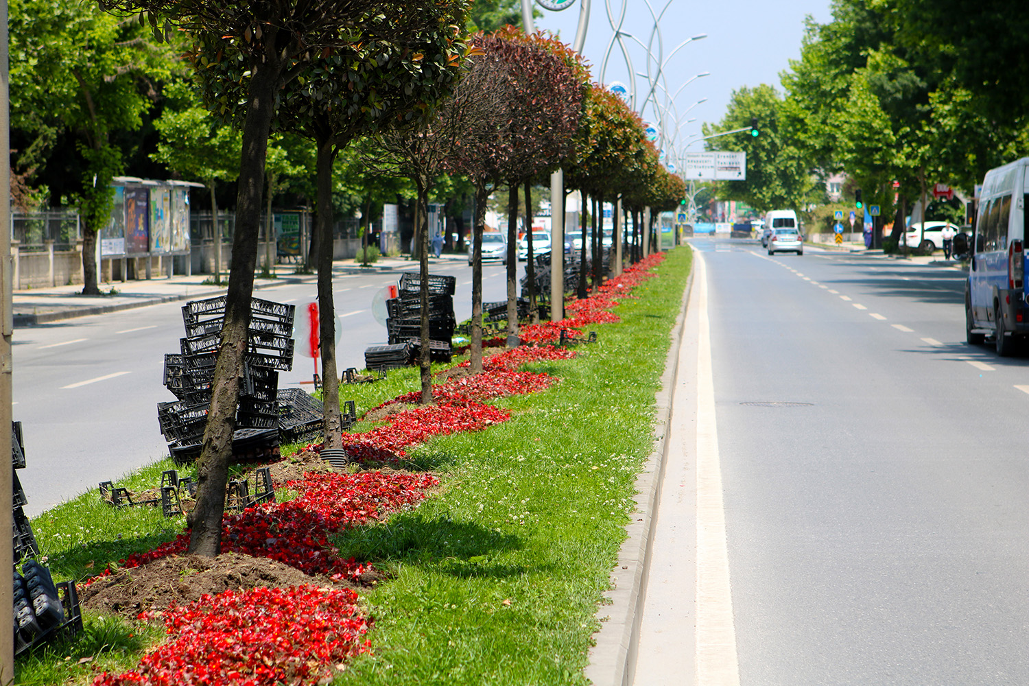 Şehir çiçek açıyor