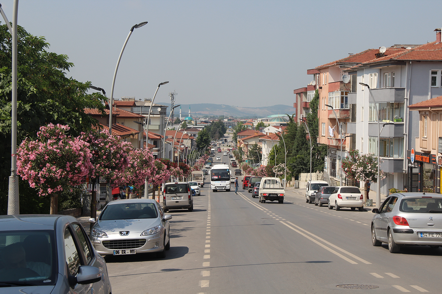 Şehir çiçek açtı