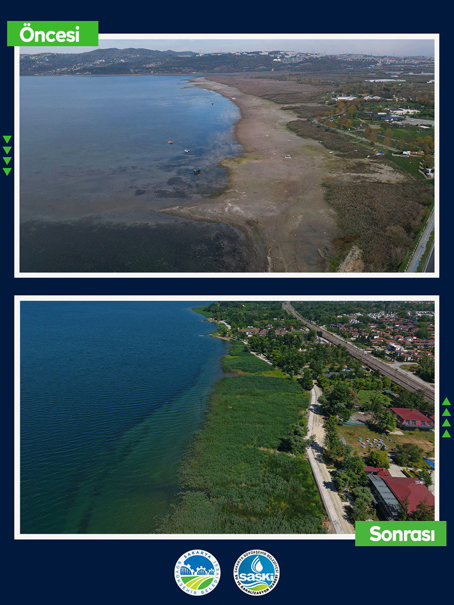 Zehirli sazlıklar gitti, Sapanca Gölü kıyısını şimdi tertemiz sazlıklar süsledi