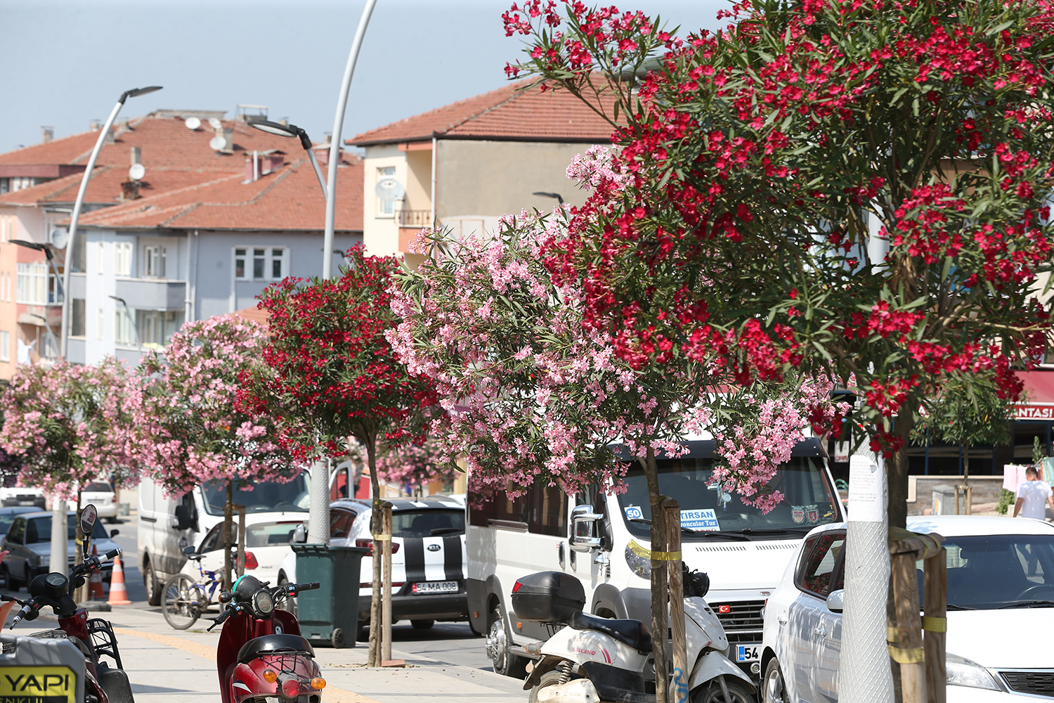 Şehir çiçek açtı