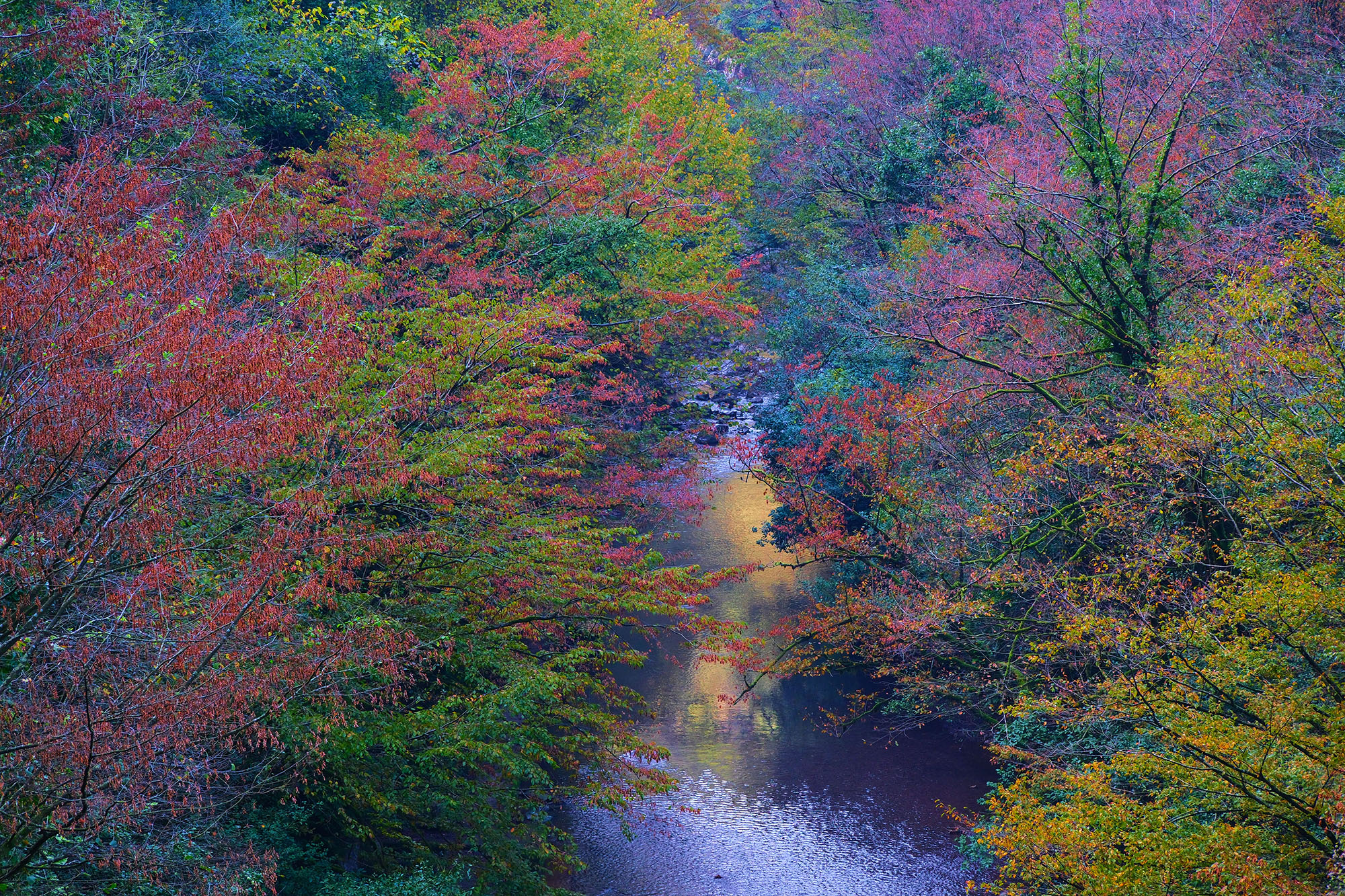 Kuzeyin tabiat harikaları arasında unutulmaz bir sonbahar yürüyüşü