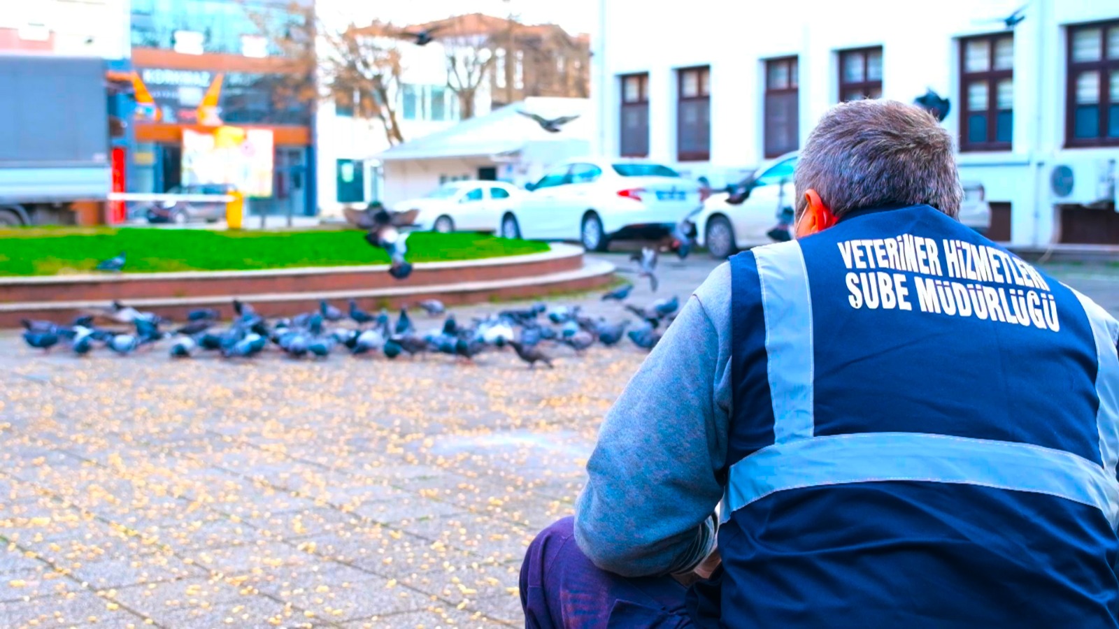 Büyükşehir Sokağa çıkma kısıtlamasında sokak hayvanlarını unutmuyor