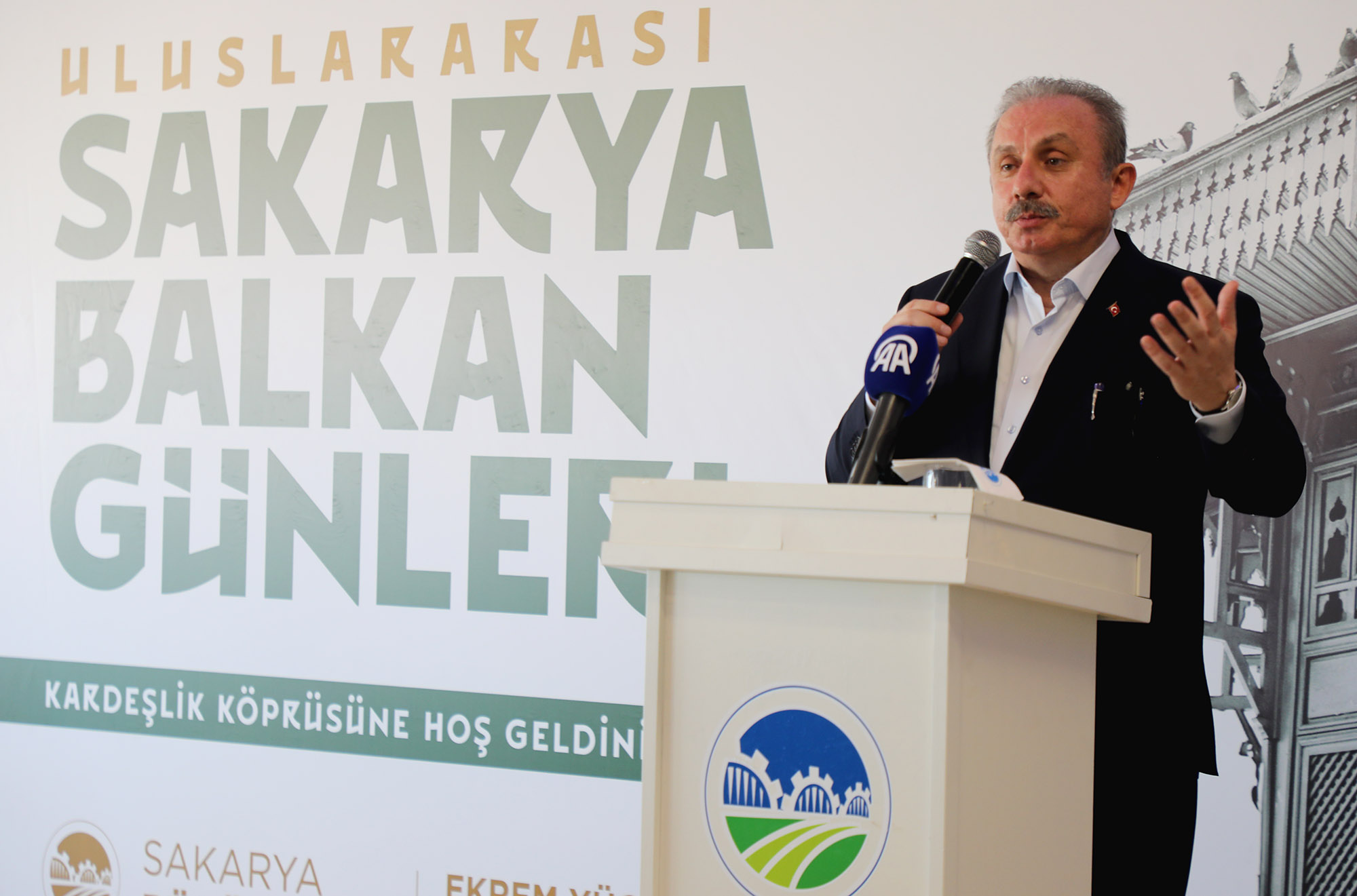  Sakarya Balkan coğrafyasına kucak açtı: “Sizin büyük ülkeniz Türkiye Cumhuriyeti’dir”