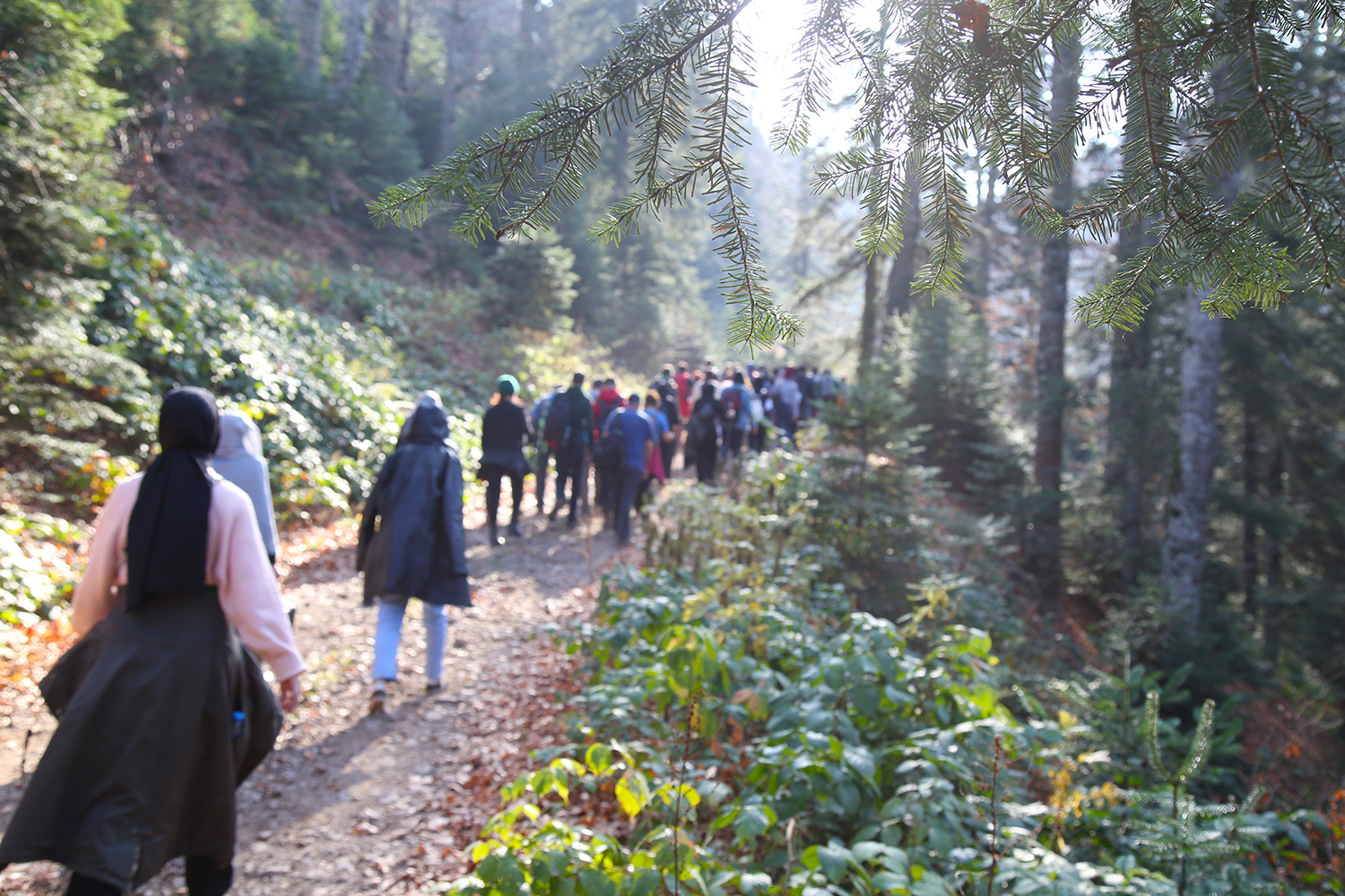 Sonbahar Doğa Yürüyüşleri sona erdi