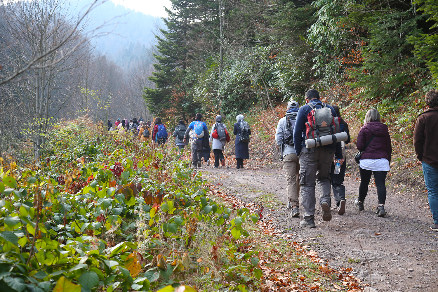 Sonbahar Doğa Yürüyüşleri sona erdi