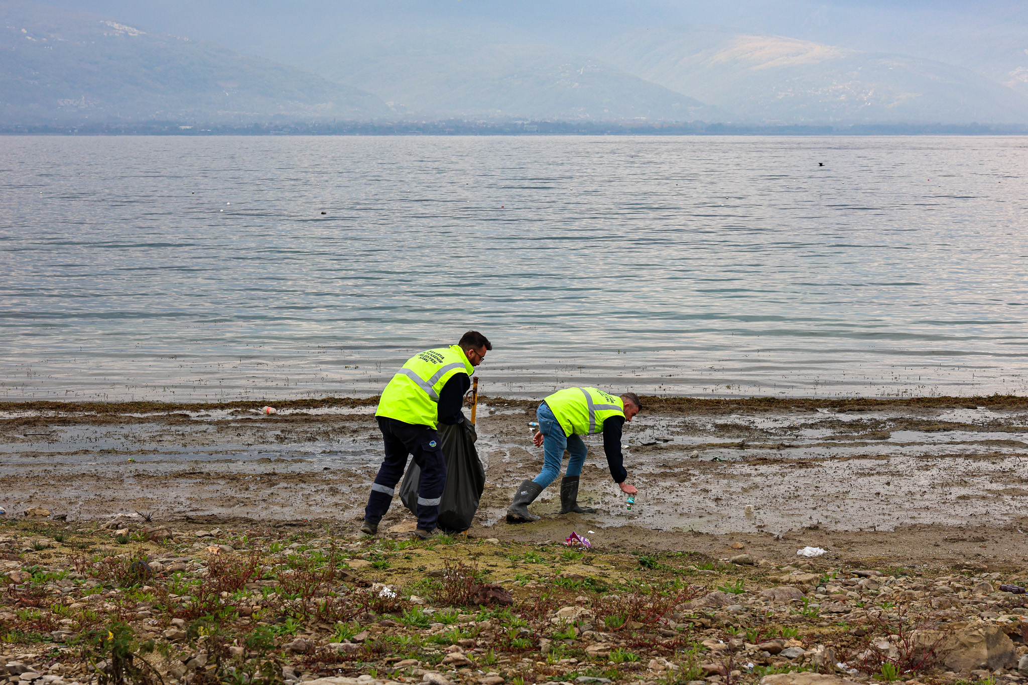 Sapanca Gölü kıyılarında ekosistemi koruyan temizlik çalışması sürüyor