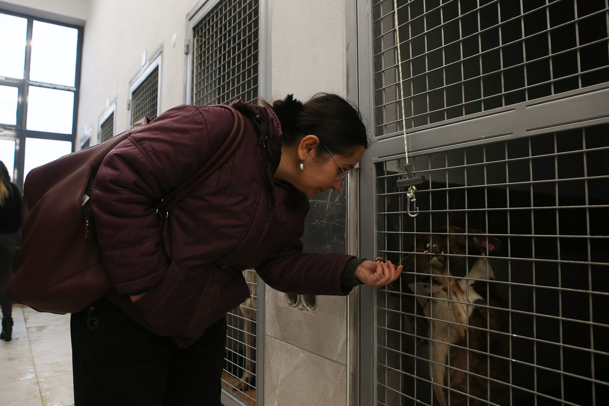 Büyükşehir’in hayvan rehabilitasyon merkezine barodan tam not